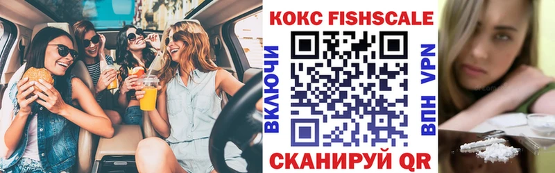 Купить закладки  Партизанск  Cocaine Эквадор 