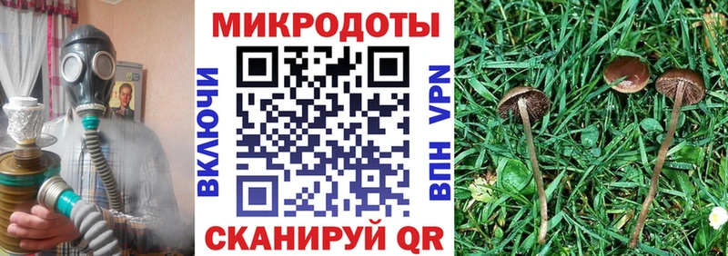 Купить где  Партизанск  Псилоцибиновые грибы прущие грибы 